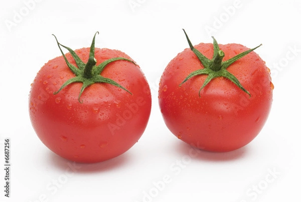 Fototapeta Tomatoes