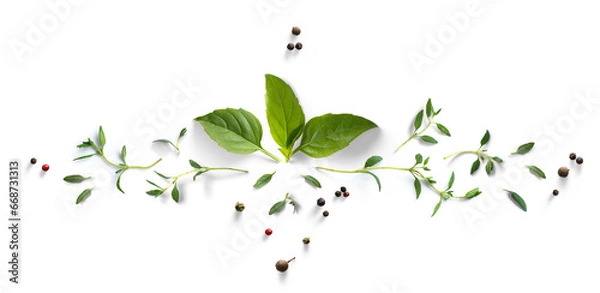 Obraz Collection of fresh herb leaves. thyme and basil Spices, herbs on a white table. PNG Food background design element with transparent shadow on transparent background.