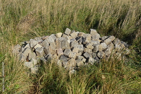 Obraz Pflaster-Steine am Wegesrand