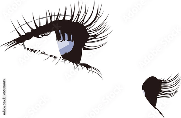 Obraz 女性　瞳　まつげ