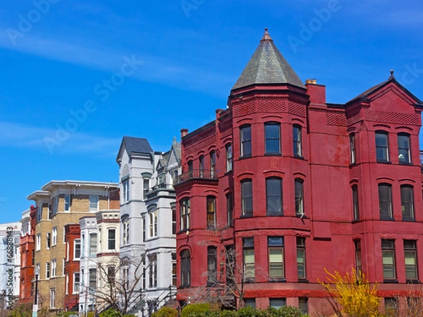 Fototapeta Historic Washington DC rowhouses in spring.