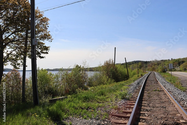 Obraz railway in the countryside