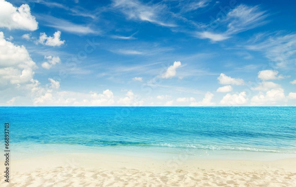 Obraz tropical beach