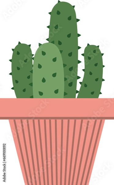 Obraz Cute cactus clear background