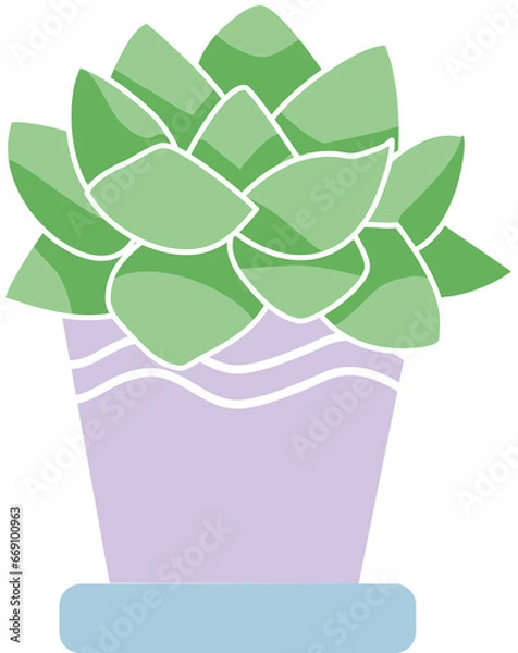 Obraz Cute succlent clear background