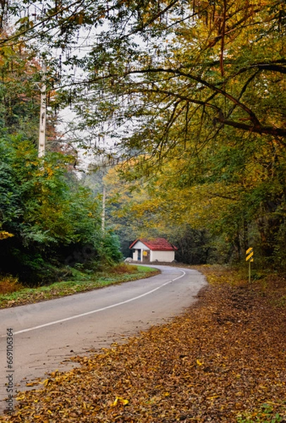 Fototapeta The path of the road in the heart of the autumn forest and the hut that is on the path, the leaves of the trees falling on the ground