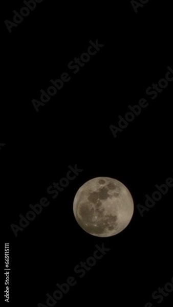 Obraz moon in the night