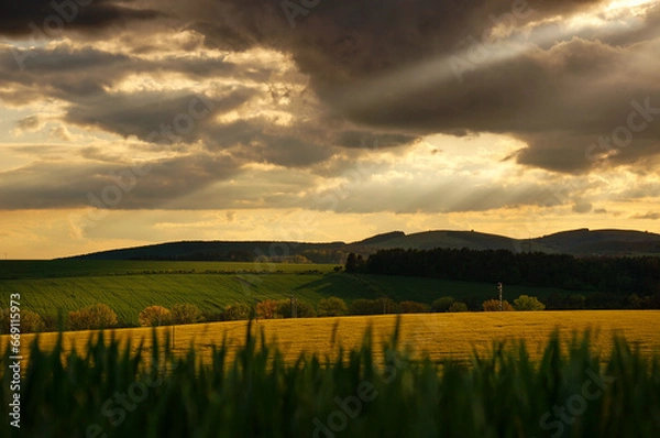 Obraz Dramatic landscape with  the cloudy sky; the sun's ray  illuminates a yellow field, with grass in the foreground - rural countryside in Slovakia, Europe