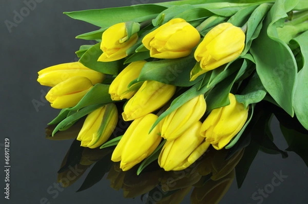 Obraz tulipany na czarnym tle