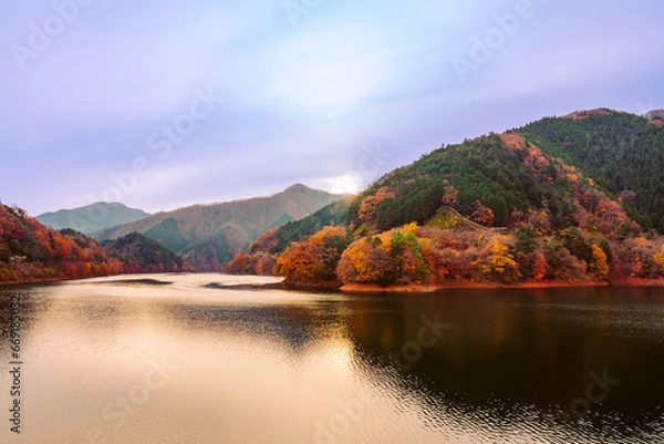 Fototapeta 奥多摩湖の秋風景2022