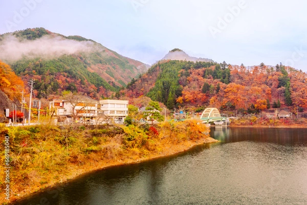 Fototapeta 奥多摩湖の秋風景2022