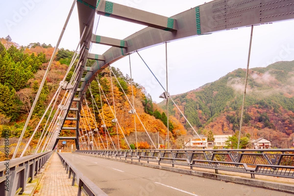 Fototapeta 奥多摩湖の秋風景2022