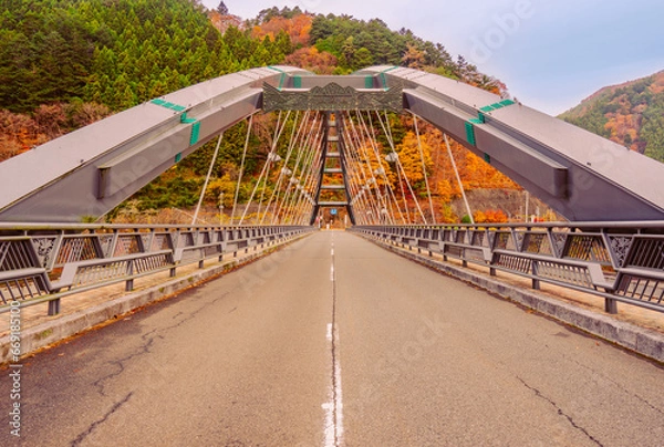 Fototapeta 奥多摩湖の秋風景2022