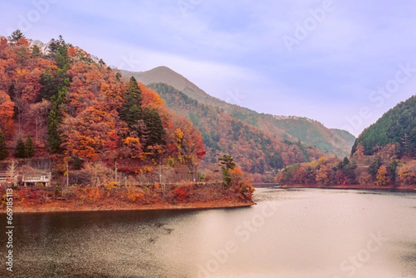 Fototapeta 奥多摩湖の秋風景2022