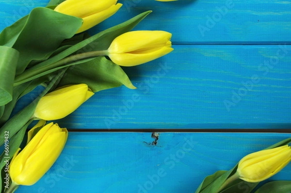 Obraz żółte tulipany