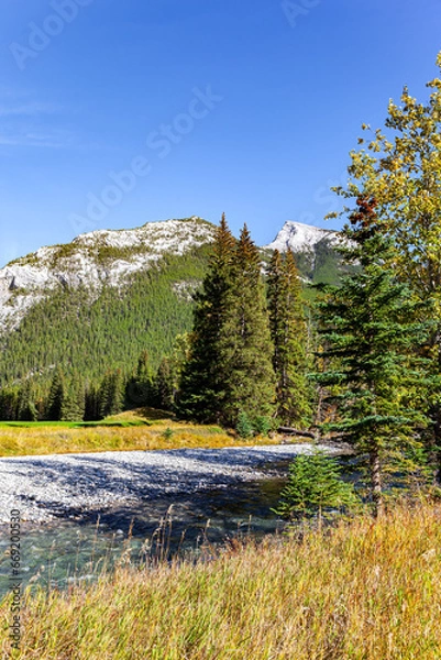 Obraz Shallow stream