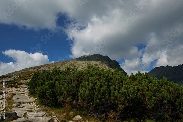 Fototapeta Tatry , krywań 