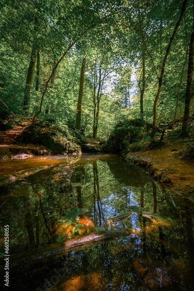 Obraz Light and shadow in a city park