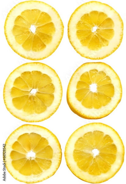 Fototapeta lemon slices on white