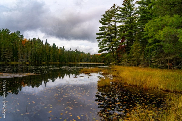 Fototapeta Lake in the forest during fall