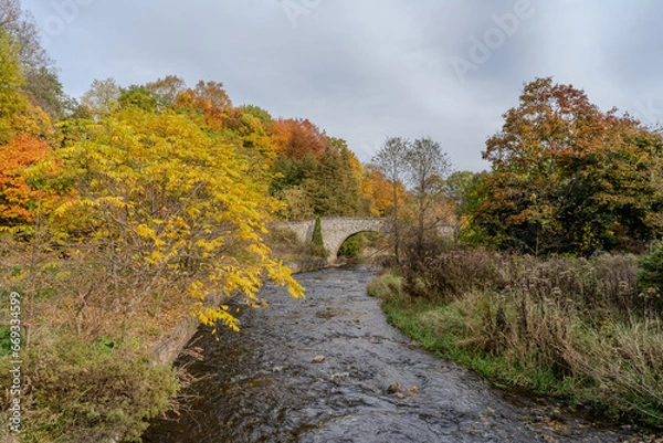 Fototapeta autumn in the mountains