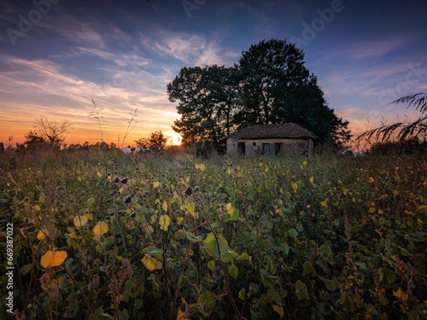 Fototapeta sunset on the farm