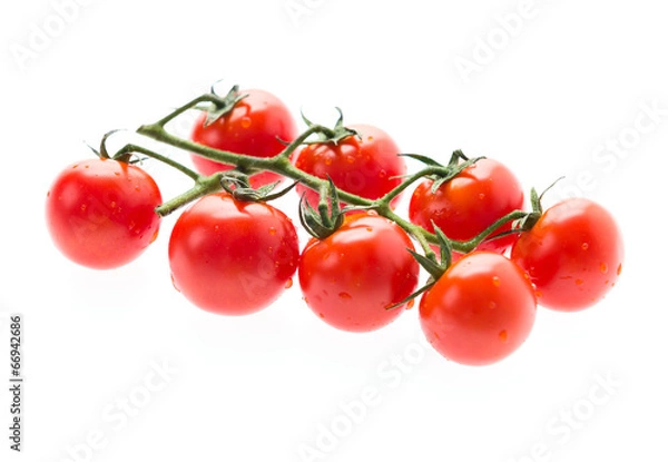 Obraz Tomatos