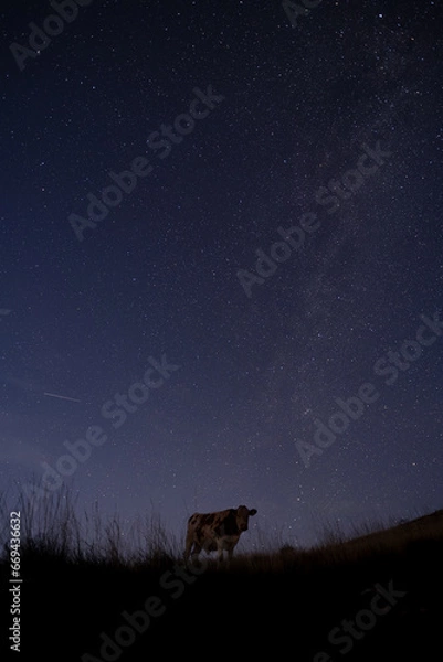 Obraz Rhön bei Nacht