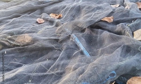 Obraz net on the beach