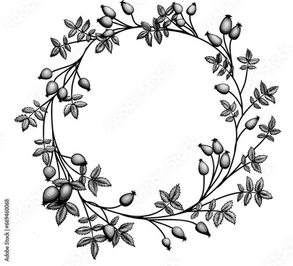 Obraz rosehip wreath
