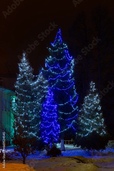 Obraz Christmas garlands on huge fir trees. Huge Christmas trees are decorated with bright, colorful garlands.
