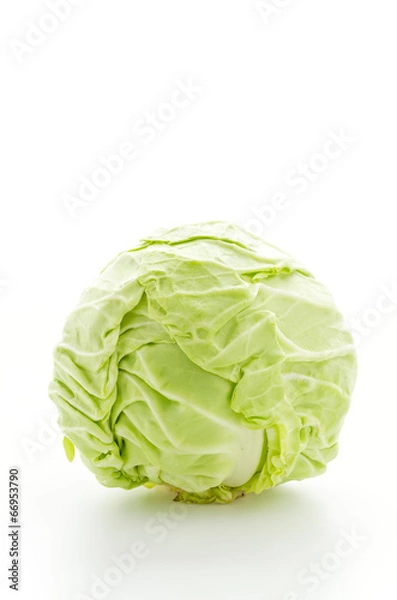 Obraz Cabbage isolated on white