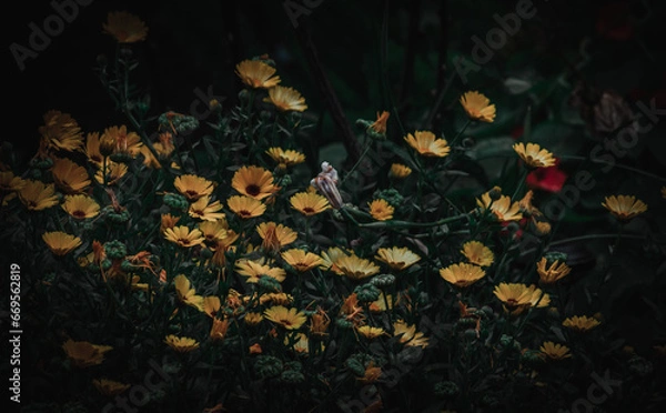 Obraz flores en primavera 