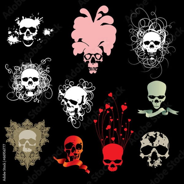 Obraz Skull collection