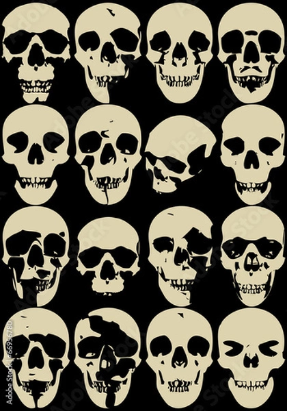 Obraz Skull collection