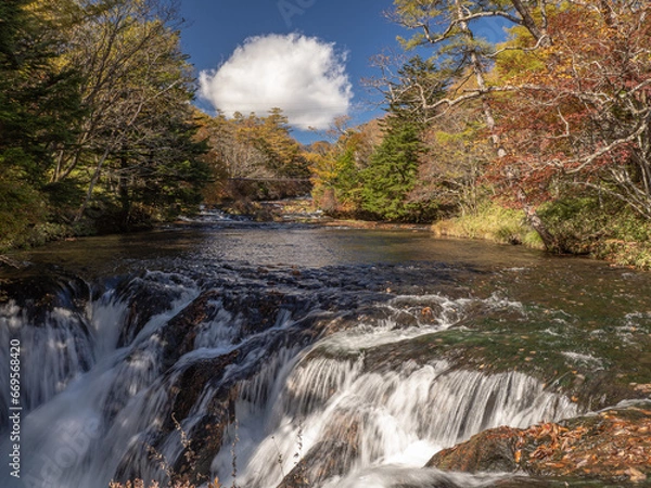 Obraz waterfall in autumn