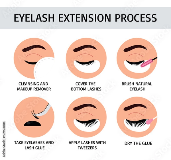 Obraz Eyelash extension process. Flat vector illustration. Infographic for lashmaker.