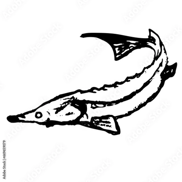 Obraz black and white vector