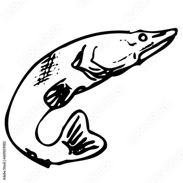 Obraz hand holding a fish