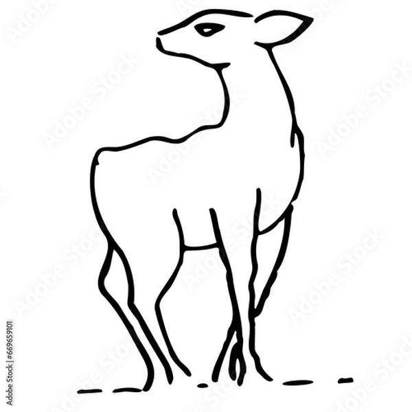 Fototapeta deer drawing