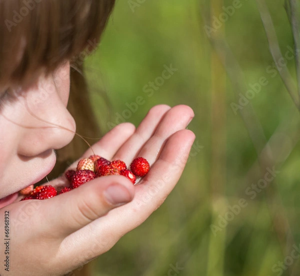 Fototapeta Девочка ест землянику