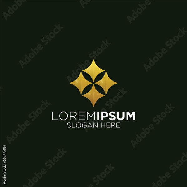 Obraz modern elegant star logo design