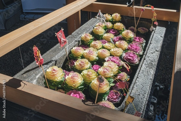 Obraz 神社の手水