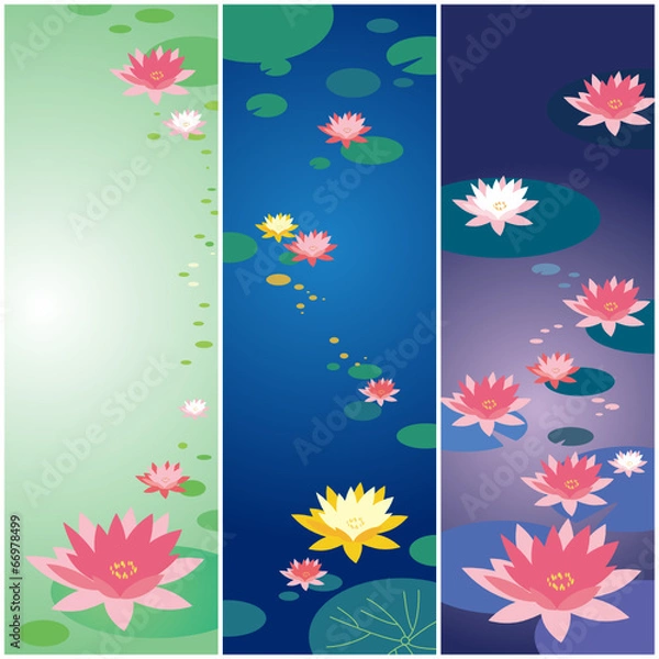 Obraz lotus flower card