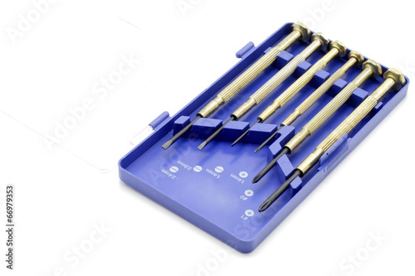 Obraz Set of screwdriver