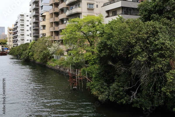 Fototapeta 月島川沿いに建ち並ぶマンション群