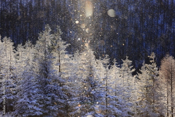 Obraz 霧ヶ峰のダイヤモンドダストとサンピラー