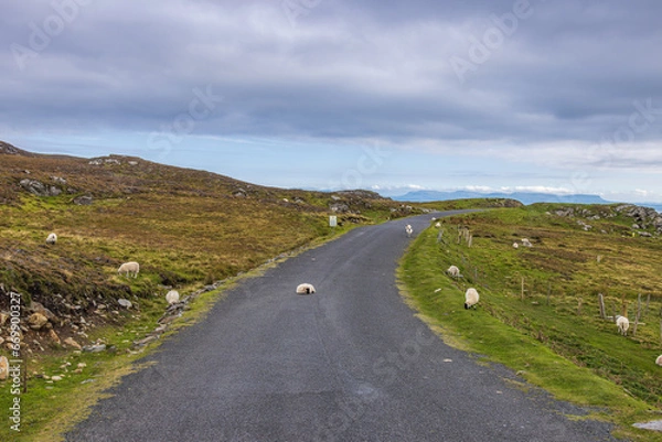 Fototapeta Teelin, Ireland - September 2 2023 "Wild Atlantic Way - Sliabh Liag Cliffs"
