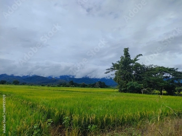 Obraz landscape with clouds