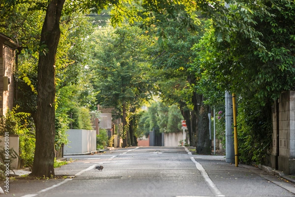 Obraz 成城学園周辺の風景